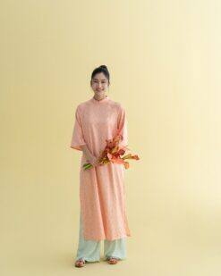 Đan Nhiên Áo dài